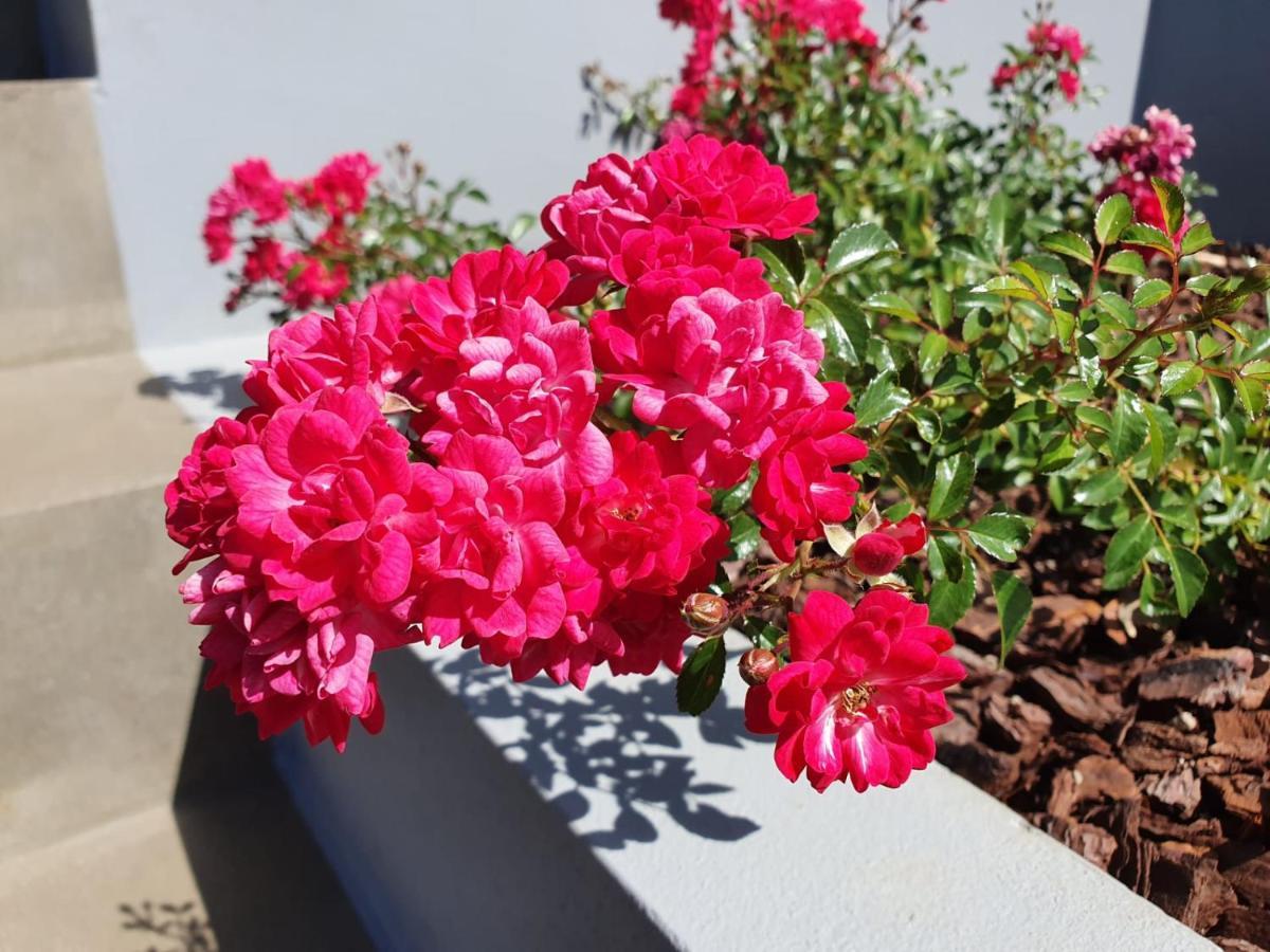 Casa Atlantico Tropischer Seitenfluegel Ribeira Brava Zewnętrze zdjęcie